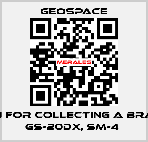PIN FOR COLLECTING A BRAID GS-20DX, SM-4  GeoSpace