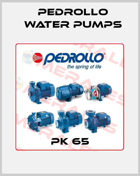 PK 65 Pedrollo Water Pumps