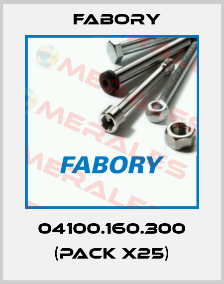 04100.160.300 (pack x25) Fabory