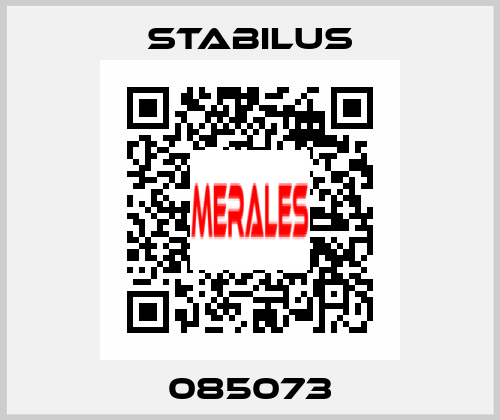 085073 Stabilus