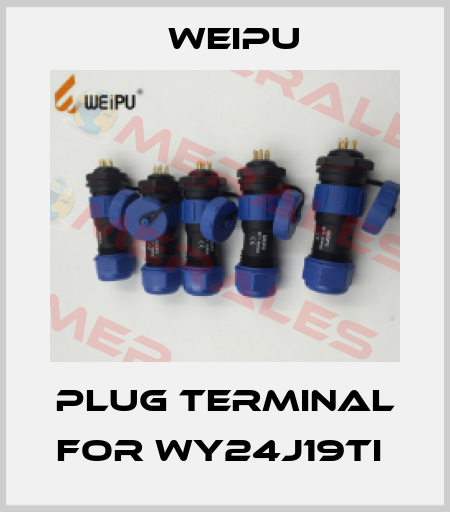 PLUG TERMINAL FOR WY24J19TI  Weipu
