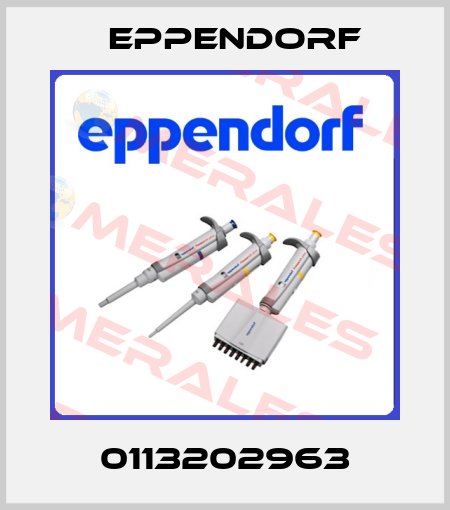 0113202963 Eppendorf