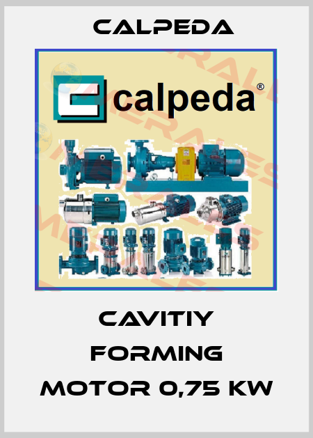 cavitiy forming motor 0,75 kw Calpeda