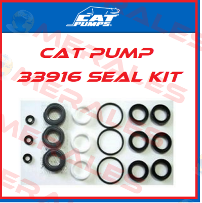 33916 Cat Pumps