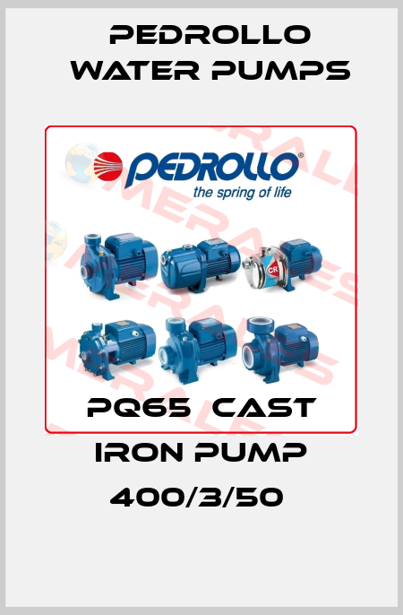 PQ65  CAST IRON PUMP 400/3/50  Pedrollo Water Pumps