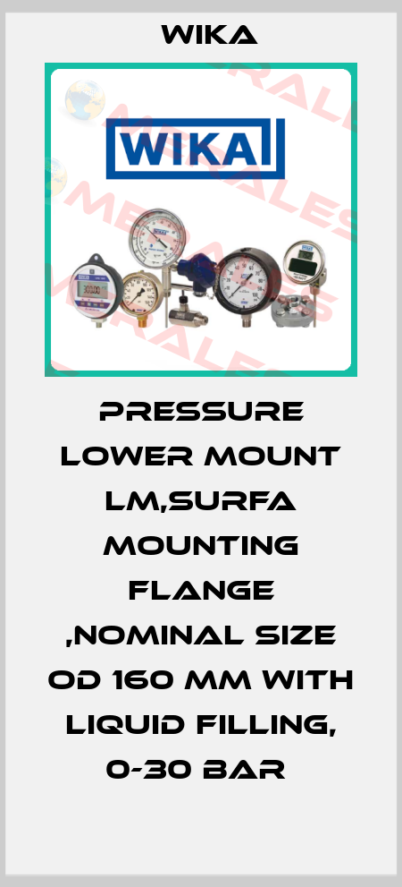 PRESSURE LOWER MOUNT LM,SURFA MOUNTING FLANGE ,NOMINAL SIZE OD 160 MM WITH LIQUID FILLING, 0-30 BAR  Wika