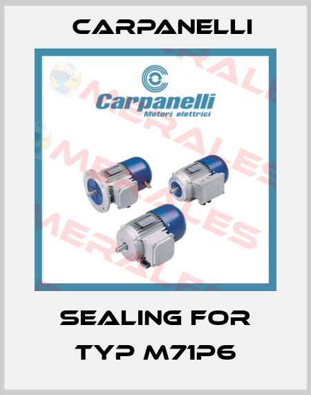 Sealing For Typ M71P6 Carpanelli