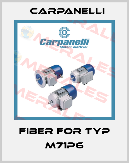 Fiber For Typ M71P6 Carpanelli