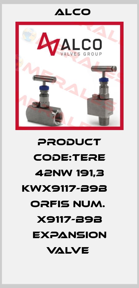 PRODUCT CODE:TERE 42NW 191,3 KWX9117-B9B    ORFIS NUM.  X9117-B9B EXPANSION VALVE  Alco