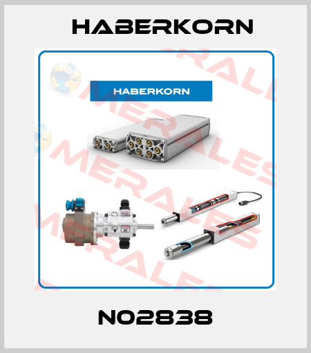 N02838 Haberkorn