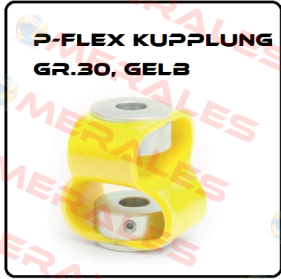 P-Flex Kupplung Gr. 30 (1260000690) Paguflex