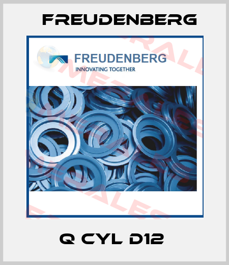 Q CYL D12  Freudenberg
