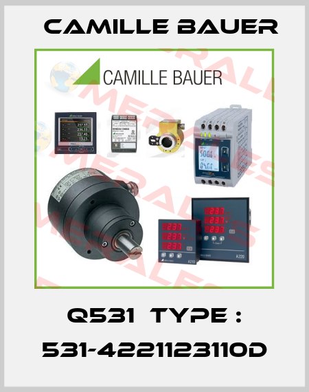 Q531  TYPE : 531-4221123110D Camille Bauer