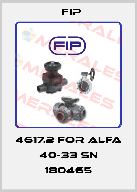 4617.2 for Alfa 40-33 SN 180465 Fip