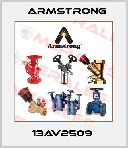 13AV2509  Armstrong