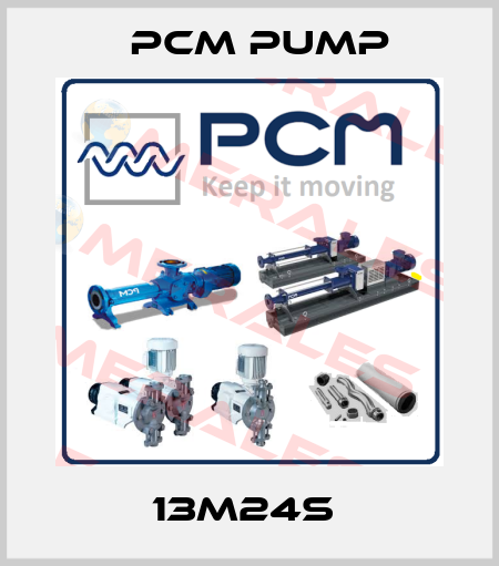 13M24S  PCM Pump