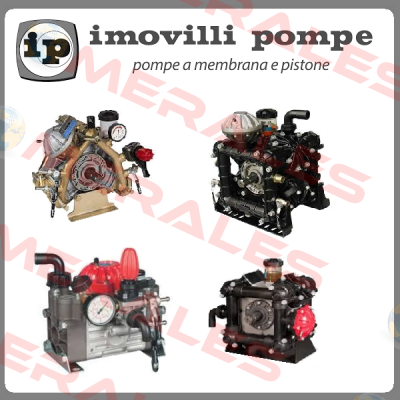 Gasket set for P186 ref 46051 Imovilli pompe