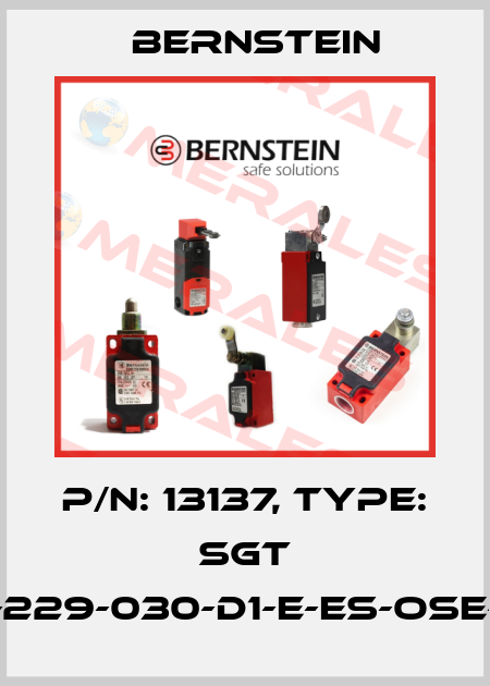 P/N: 13137, Type: SGT 15-229-030-D1-E-ES-OSE-15 Bernstein