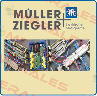 DE96  0-2000/5A,IN,96*96,MOVING IRON,CL1.5 Ziegler