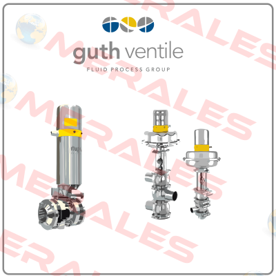 5093065000-G020 Guth