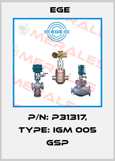 p/n: P31317, Type: IGM 005 GSP Ege
