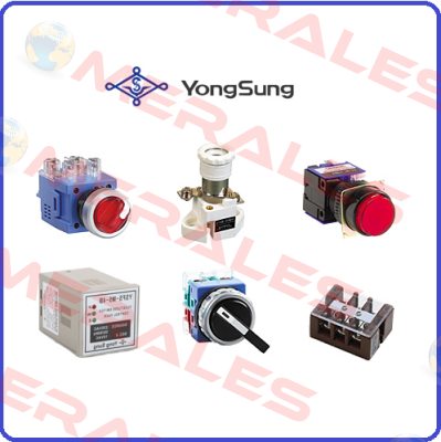 YSDNC3102-H4AD10H YongSung Electric