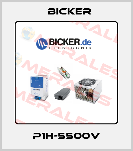 P1H-5500V Bicker