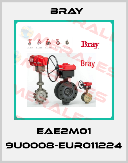 EAE2M01 9U0008-EUR011224 Bray