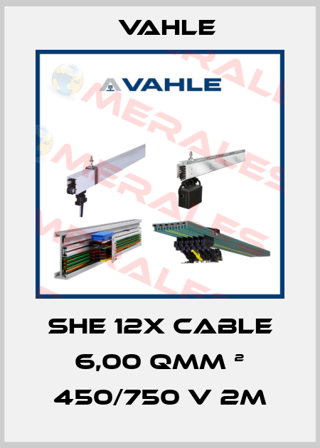 SHE 12x Cable 6,00 Qmm ² 450/750 V 2m Vahle