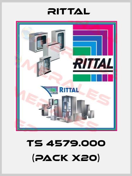 TS 4579.000 (pack x20) Rittal