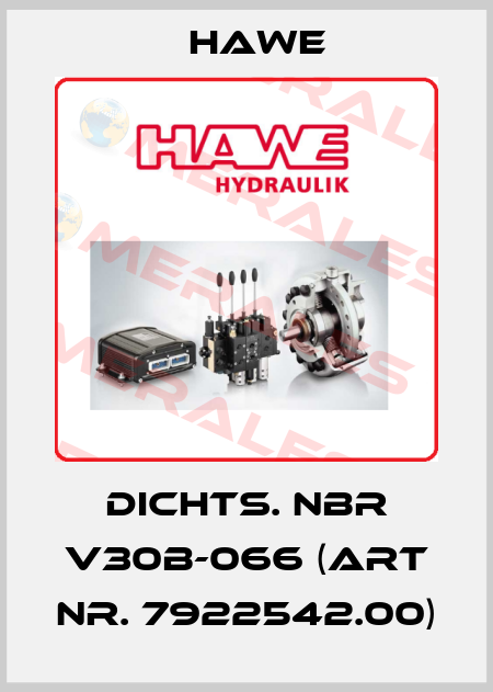 Dichts. NBR V30B-066 (Art Nr. 7922542.00) Hawe