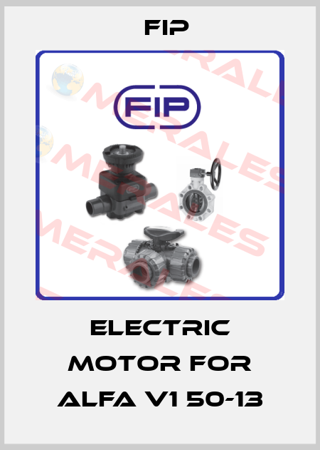 electric motor for ALFA V1 50-13 Fip