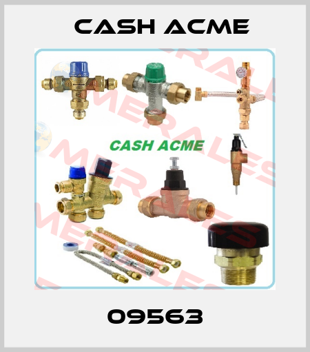 09563 Cash Acme