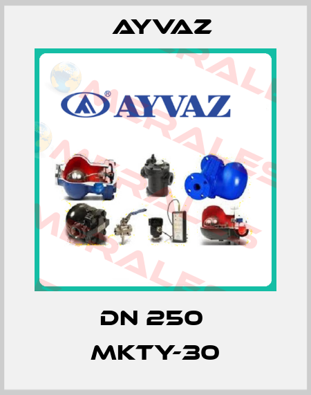 DN 250  MKTY-30 Ayvaz