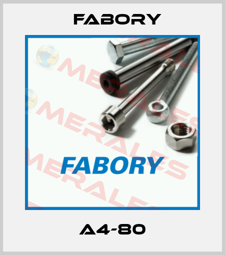 A4-80 Fabory