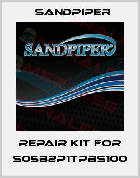 Repair kit for S05B2P1TPBS100 Sandpiper