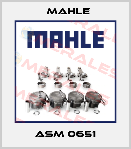 ASM 0651 MAHLE