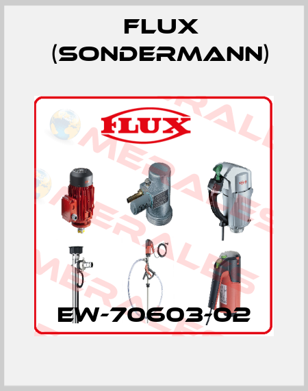 EW-70603-02 Flux (Sondermann)