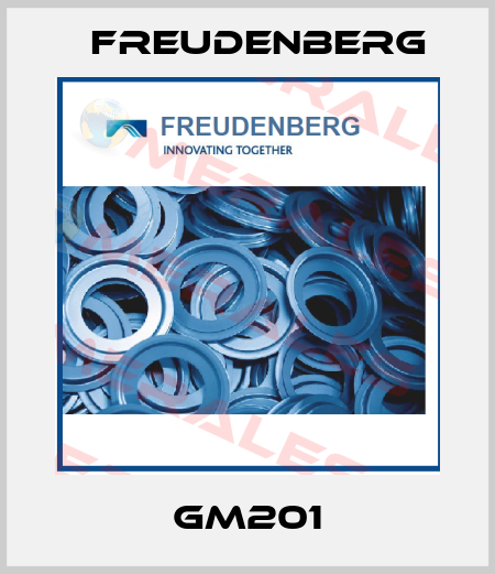 GM201 Freudenberg