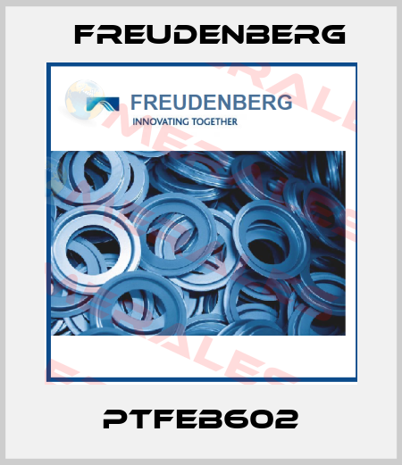 PTFEB602 Freudenberg