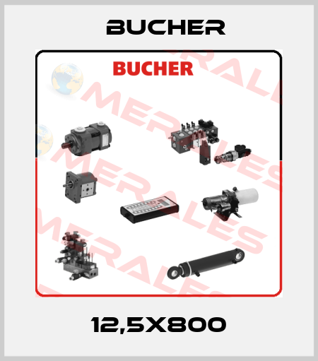 12,5X800 Bucher