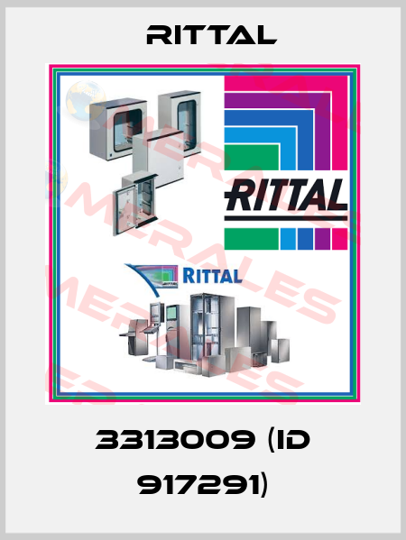 3313009 (ID 917291) Rittal
