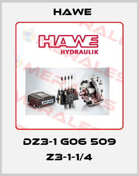DZ3-1 G06 509 Z3-1-1/4 Hawe