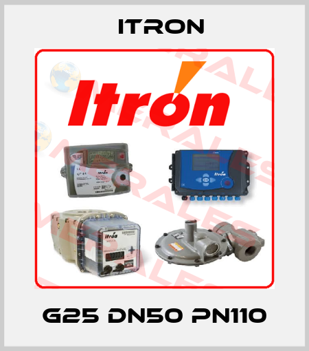 G25 DN50 PN110 Itron