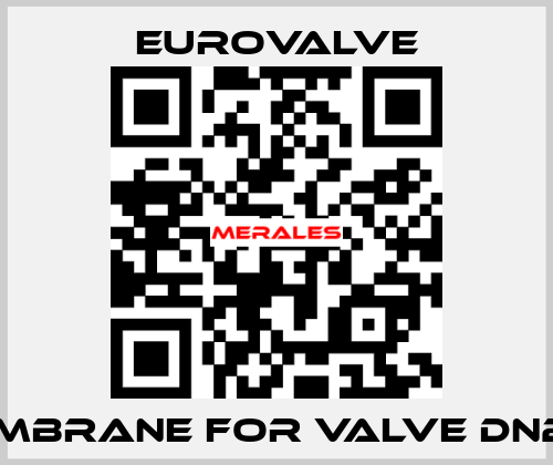 membrane for valve DN250 Eurovalve