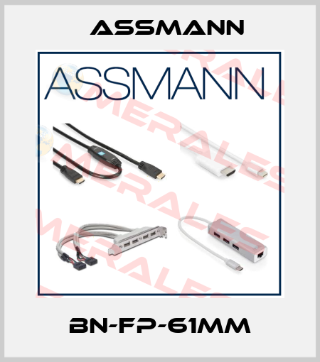 BN-FP-61MM Assmann