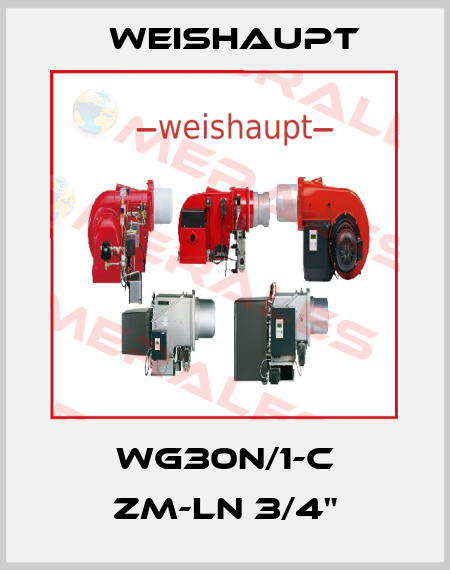 WG30N/1-C ZM-LN 3/4" Weishaupt