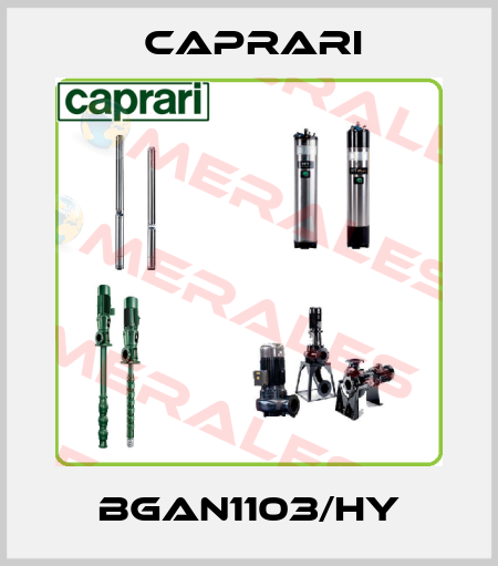 BGAN1103/HY CAPRARI 