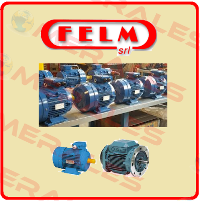 Revision kit for FA2-100L-2 Felm