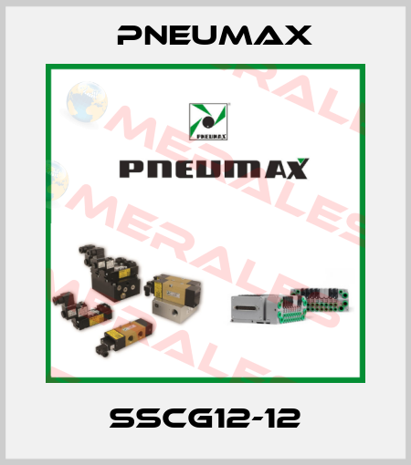 SSCG12-12 Pneumax